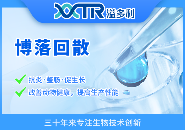  博落回散（美佑壯）