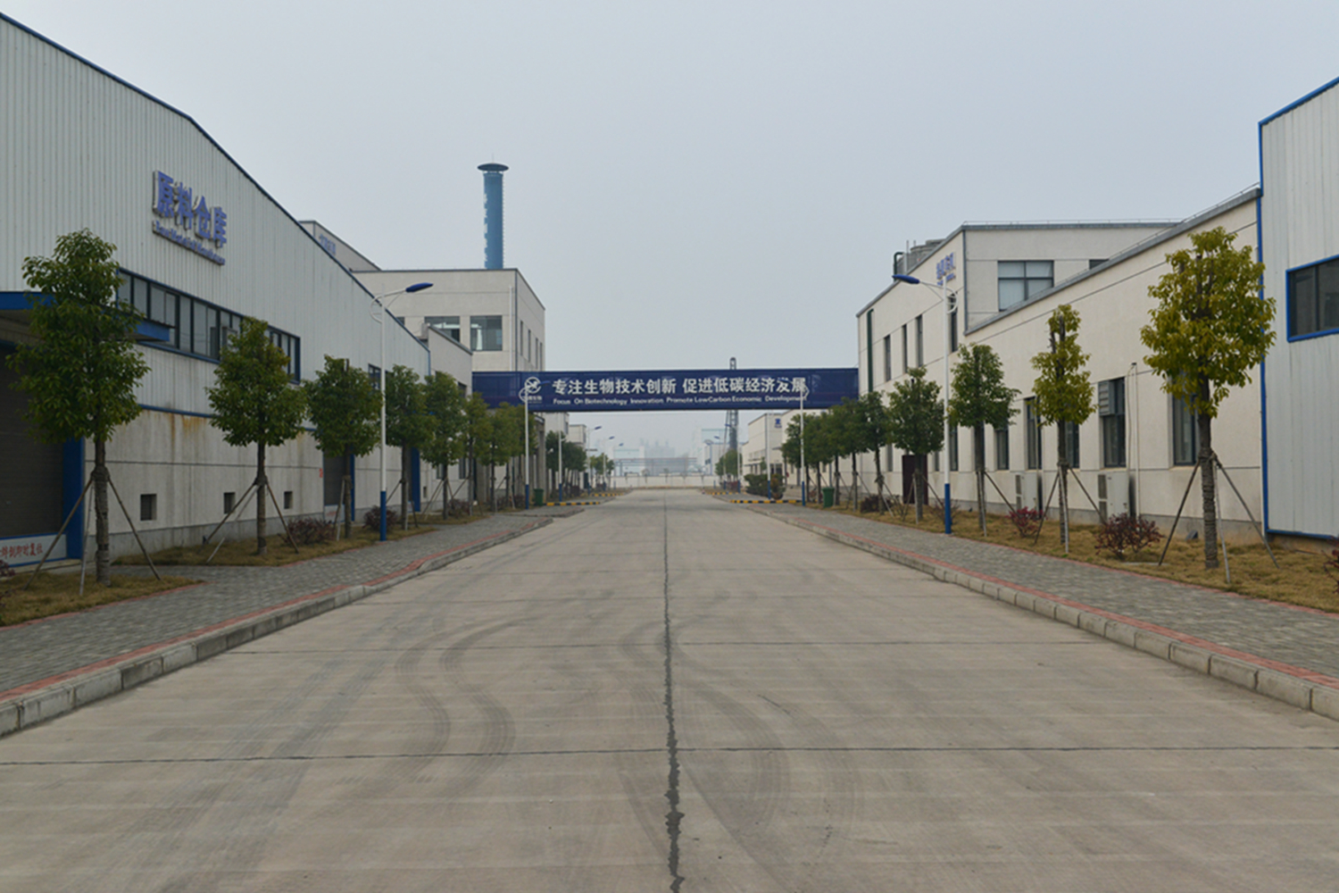 洪鷹3.jpg