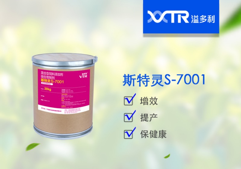 斯特靈.jpg