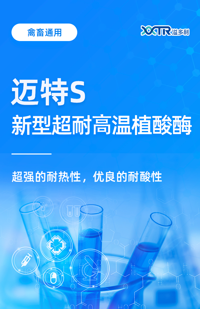 邁特S_01.jpg