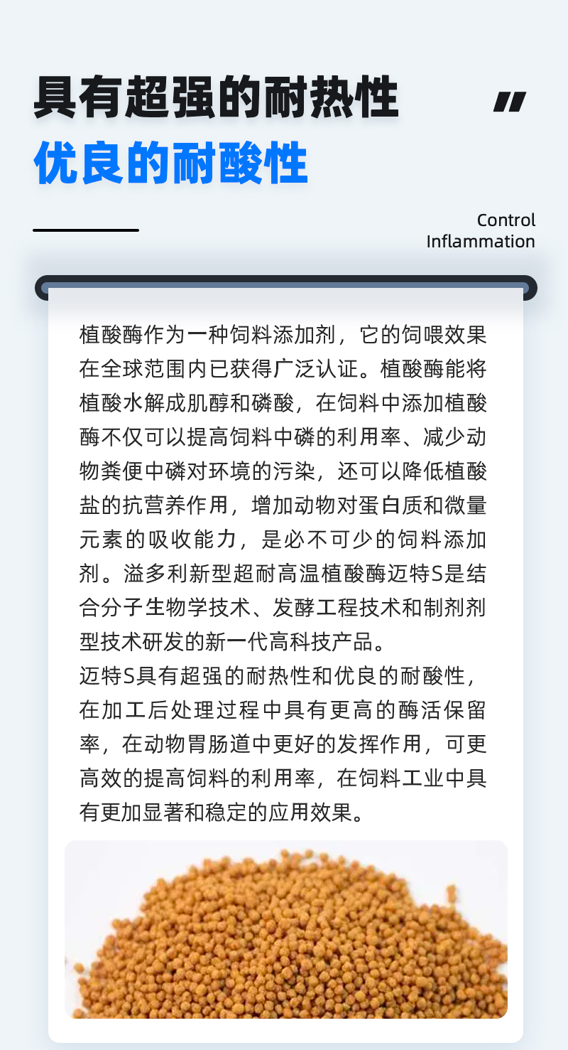 邁特S_02.jpg