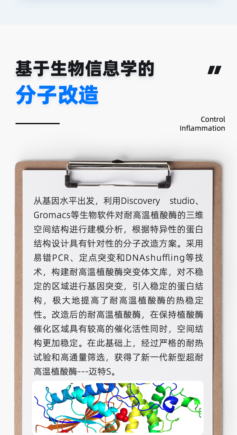 邁特S_03.jpg