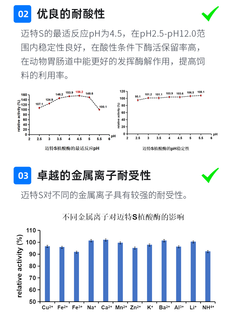 邁特S_05.jpg