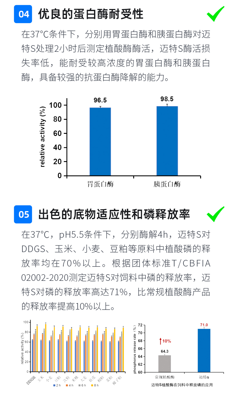 邁特S_06.jpg