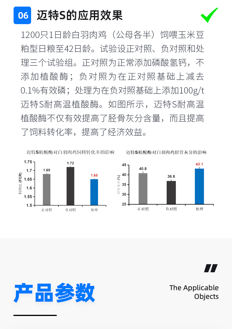 邁特S_07.jpg