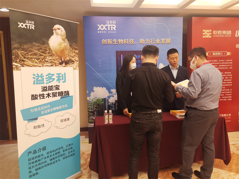 溢多利站臺(tái).jpg