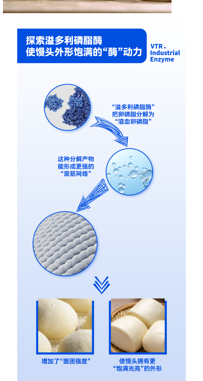 01創(chuàng)“溢”實(shí)驗(yàn)室-_-探索助力食品行業(yè)的超級(jí)「酶」動(dòng)力_03.png