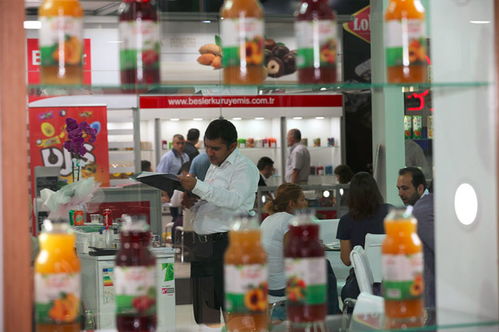 2020年伊斯坦布爾國際食品及加工技術(shù)展覽會 全球展會中文信息及服務(wù)網(wǎng)引領(lǐng)專業(yè)會展服務(wù)